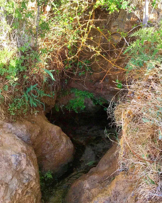 Water in a shaded rocky opening beneath overhanging plants