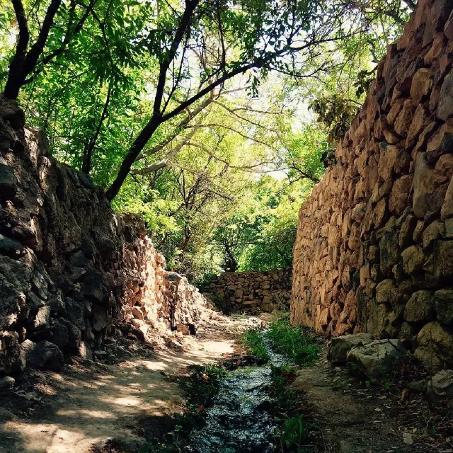 Shaded lane between stone walls with a narrow water channel beneath trees