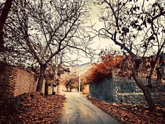 Paved lane with bare trees, fallen leaves, and brick and stone walls