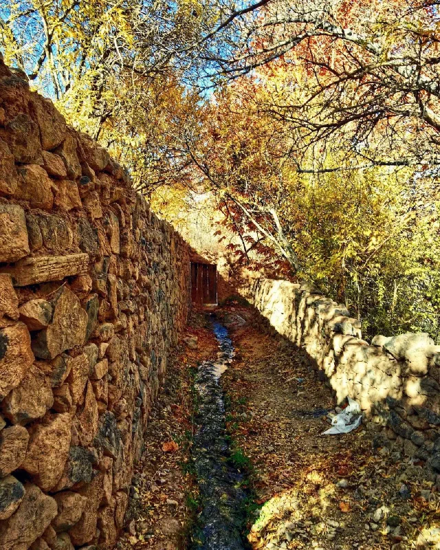 Narrow water channel between stone walls beneath yellow autumn leaves