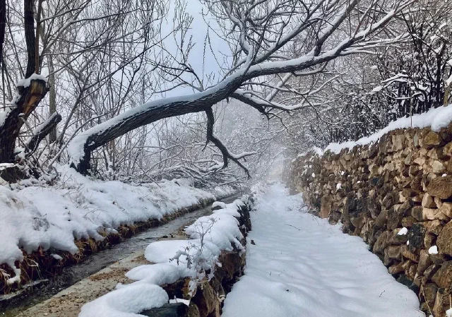 Snow-covered lane and water channel between stone walls beneath bare branches