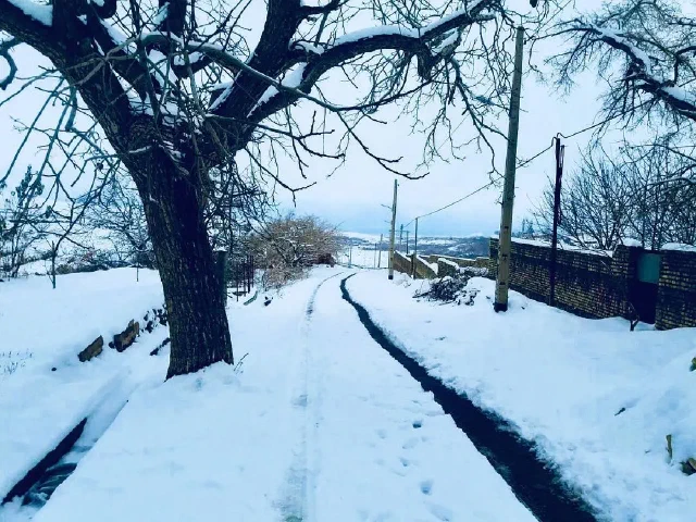 Snow-covered path beside a dark water channel, a bare tree, and utility poles